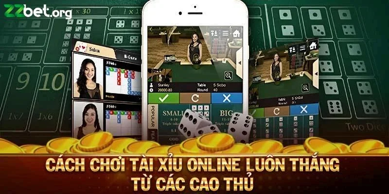 Cách chơi tài xỉu Zbet hiệu quả để thắng lớn